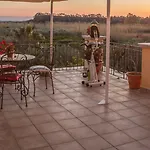 Palmed 4* ג'יצריה