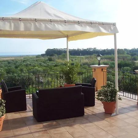 Palmed Szálloda Gizzeria