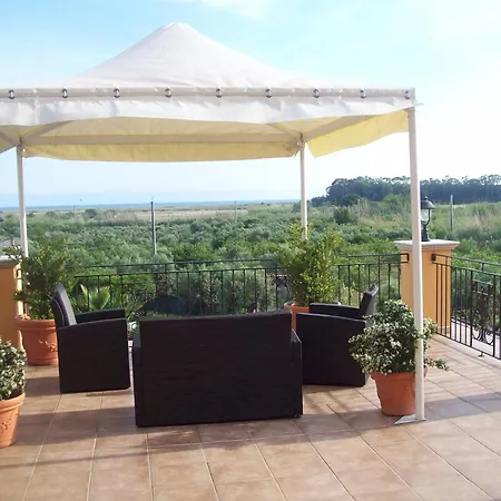 Hotel Palmed Gizzeria