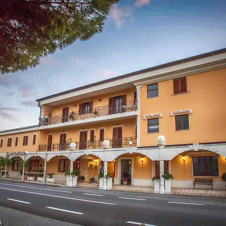 Palmed Hotel