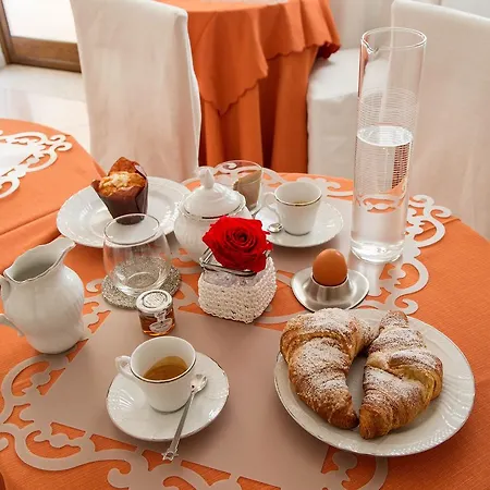 Palmed Hotel 4*