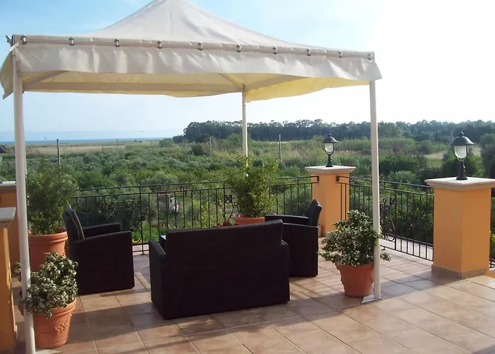 Palmed Hotel Gizzeria