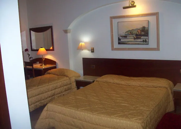 Hotel Palmed Gizzeria