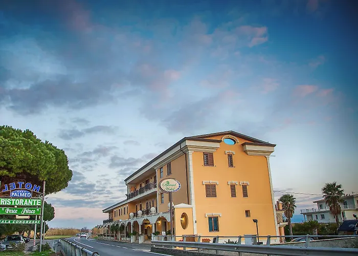 Palmed Hotel Gizzeria